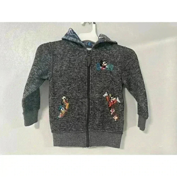 Walt Disney World Parks Youth Lg Hoodie Jacket Mickey Goofy All Embroidered 2019 - Picture 1 of 6